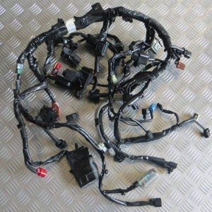 Cabelagem Eléctrica Principal Honda CRF1000 Africa Twin 16-17