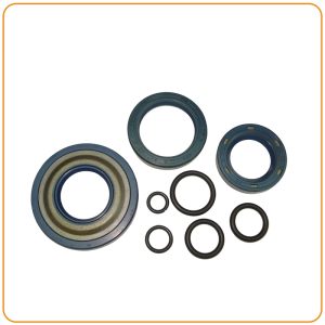 RETENTORES DO MOTOR COM O-RINGS (KIT) PARA VESPA PK50 SS/XLS «CORTECO»