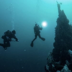 Deep Diver