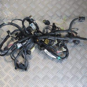 Cabelagem Kawasaki ZX12R 02-05